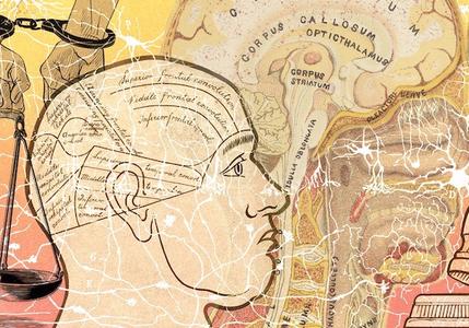 大脑神经科学如何影响法庭判决？