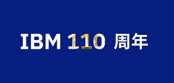 ��̬�������ͺϹ�������IBM 110 ����
