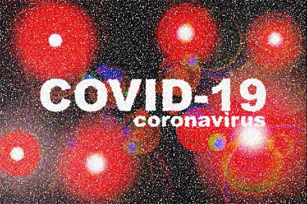 COVID-19�����з������ֻ�ת�͵�ǿ����