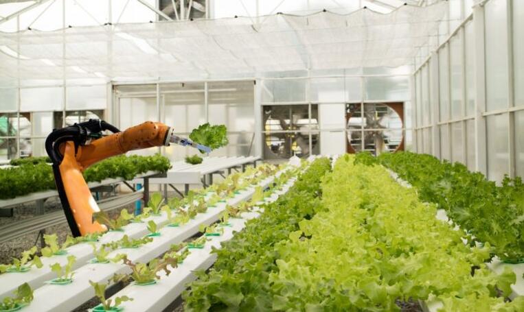 ʳƷ��ҵ�е��˹����ܣ�����ũ�����Ȩ