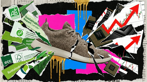 Allbirds����ת��AI�������ɼ۵��ձ���582%