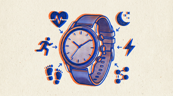�ȸ�Pixel Watch 5���⣺�����������������۸����