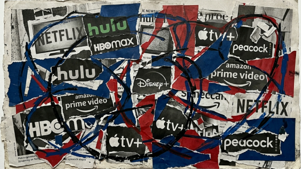 ��ʿ�Ό��粨��ʾ��ý�岢��������