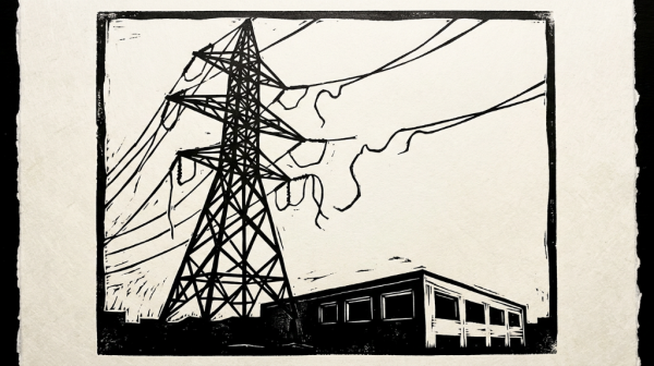Nscale������ӳ�ʧȥ΢���������Ķ���