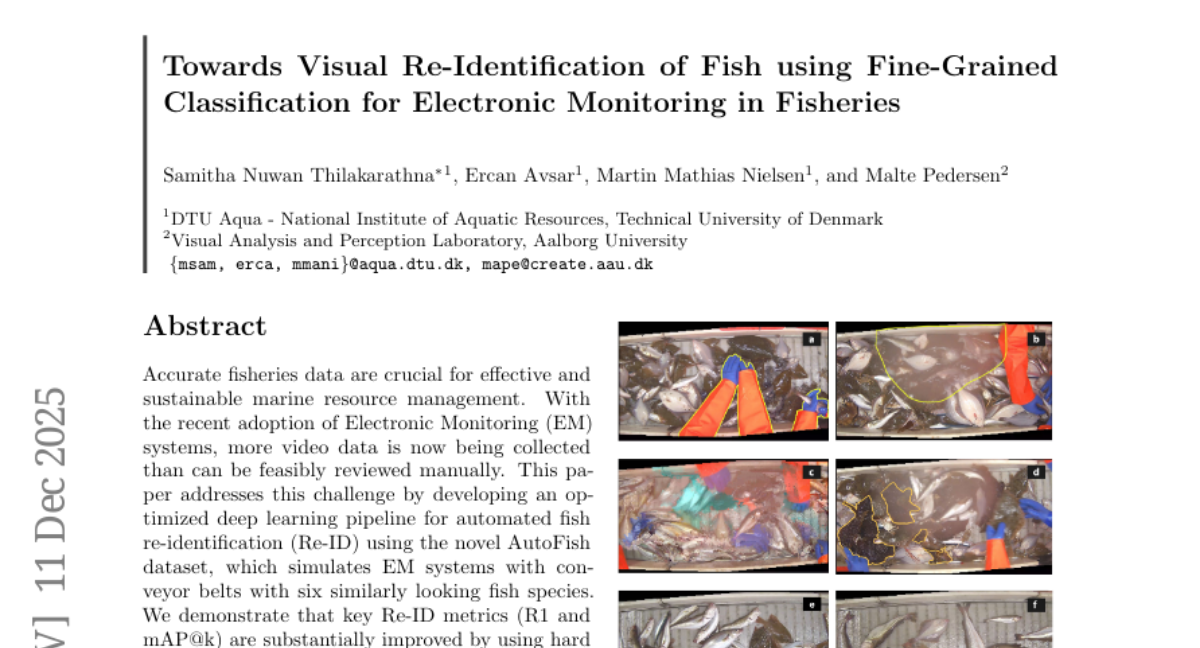 ��������ѧ�״�����AI���㡰������֤��������ҵ�������ä��ʱ��