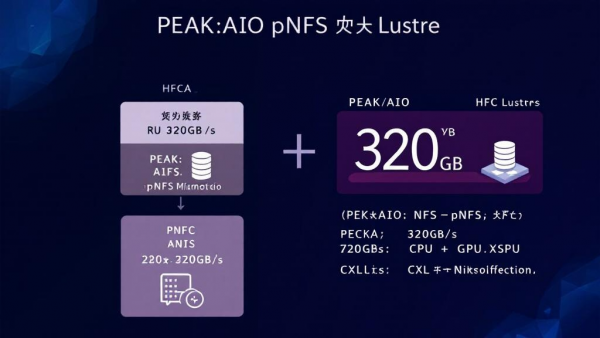 PEAK:AIOѺע����pNFS������սLustre�ļ�ϵͳ