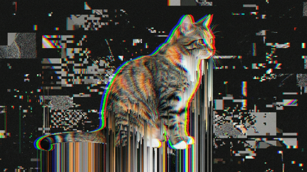 �ȸ������书���޷������ҵ���ֻè