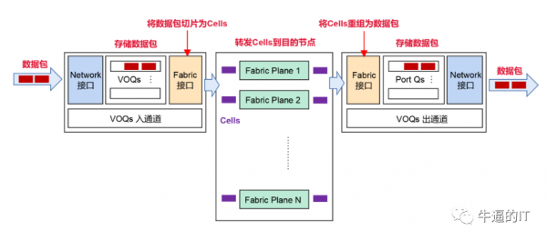 GPU/TPUȺ