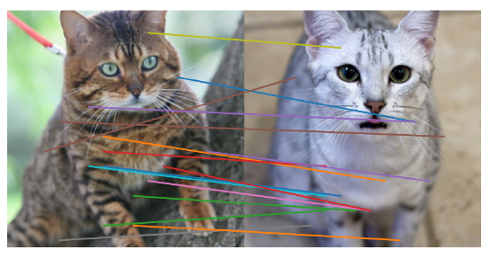 苹果发现:只需一个注意力层,就能让AI图像生成既快又好