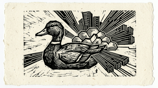 AWS�չ�DuckLabs����DuckDBǶ��ʽ�����������������ҵ