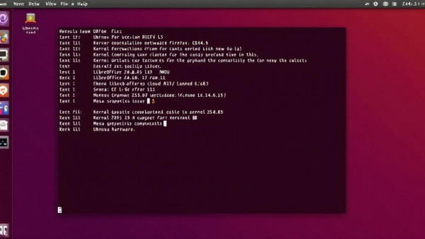 Ubuntu 24.04.3��ʽ���������ں���������������˫����