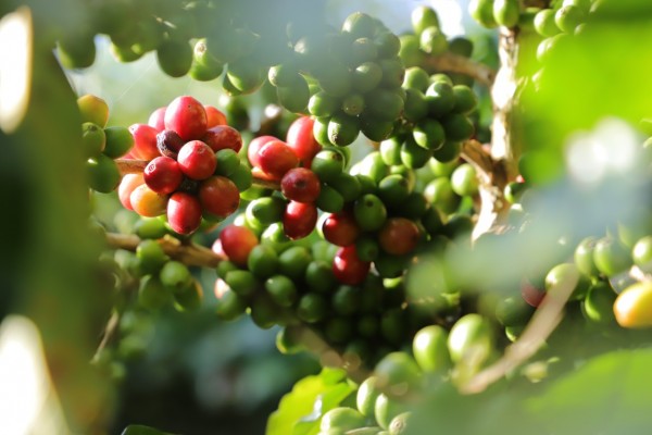 һ㵽һ֭ƴ“ǧڷ”д£