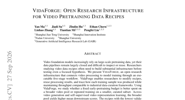 VidaForge������Ƶ��ģ���������䷽���ˣ���������һ�׳��ֵĹ���