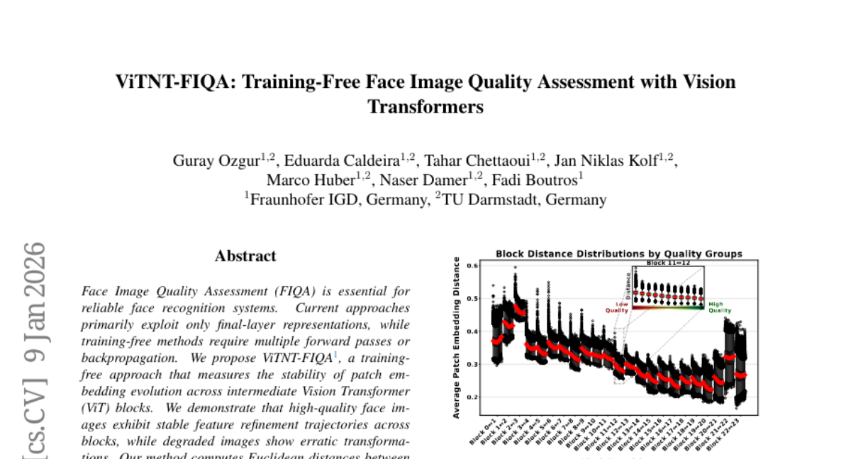 �¹������״���ѵ��������������������Vision TransformerҲ�ܵ����ʼ�Ա��