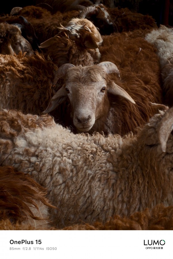 当年轻人的手指追上165Hz：一加要把“Ultra”的话语权从影像交到性能手里吗？