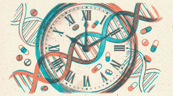 TimeTeller������Һ����ƽ���������������